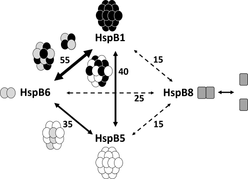 Fig. 9