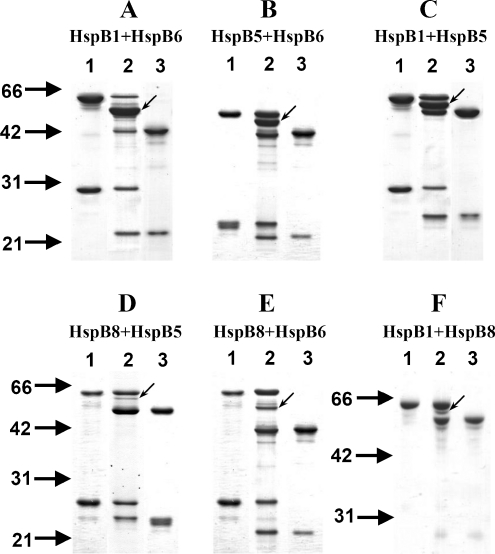 Fig. 2