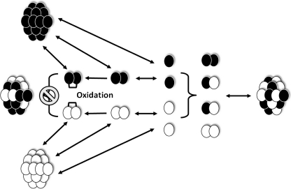 Fig. 10