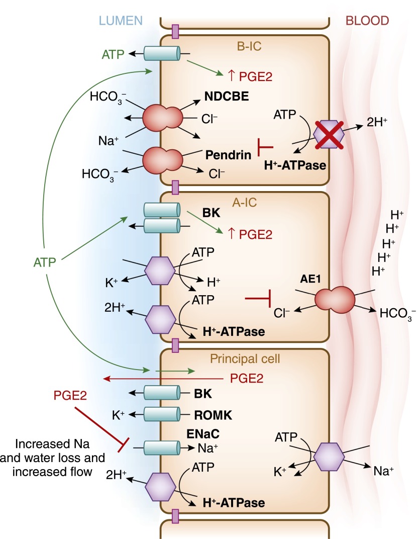 Figure 10.