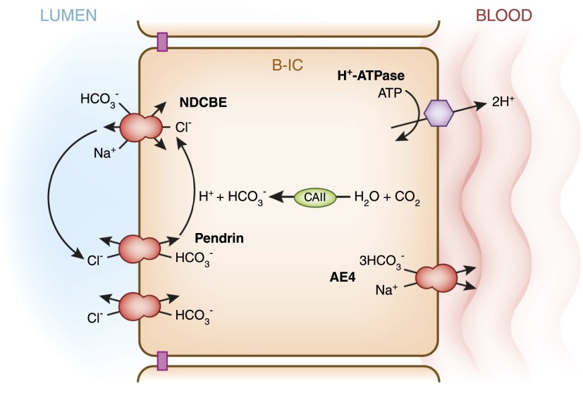 Figure 6.