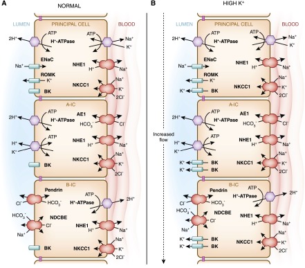 Figure 7.