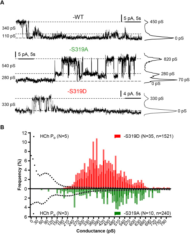 Fig. 7.