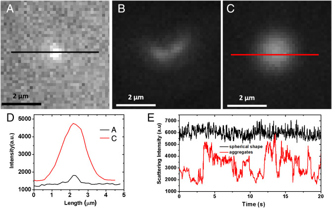 Fig. 4.