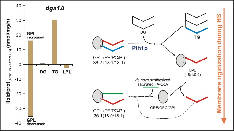 Fig 8