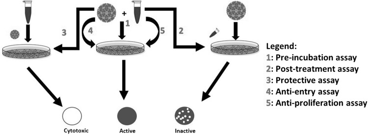 Fig. 1