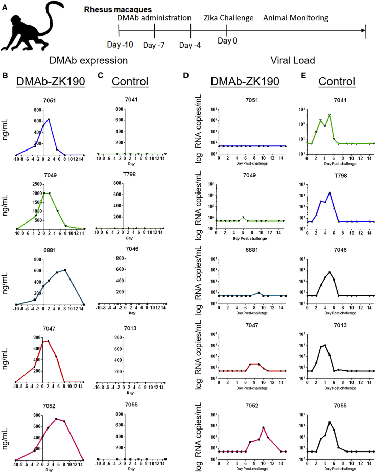 Figure 4