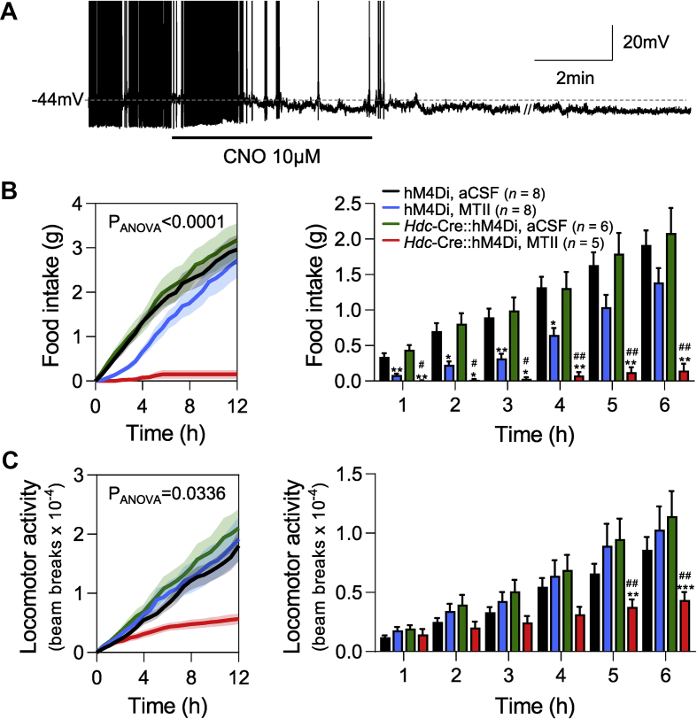 Figure 6