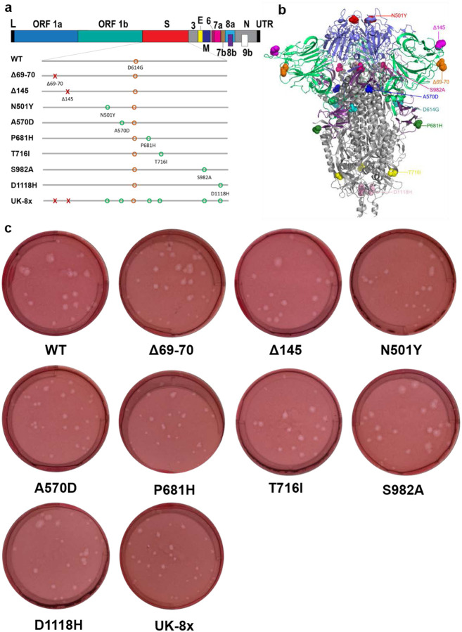 Extended Data Figure 1.