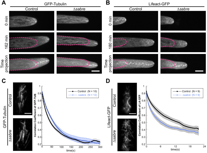 Figure 2—figure supplement 1.