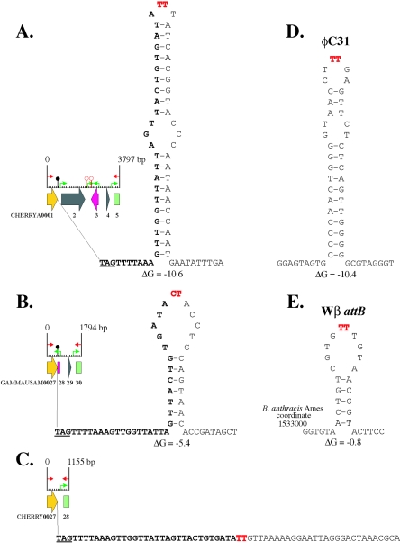 FIG. 2.