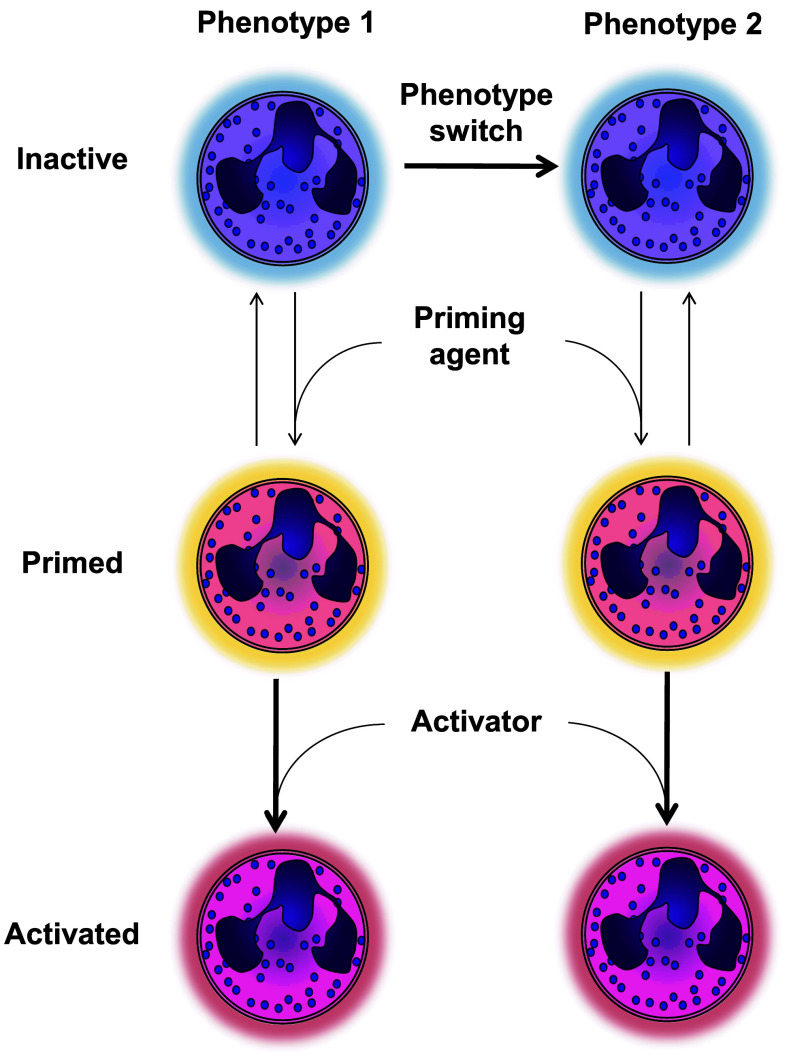 Fig. 1