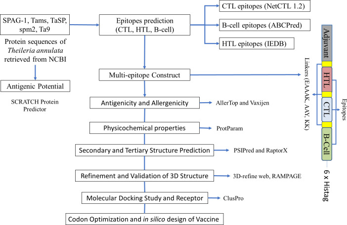 Figure 1