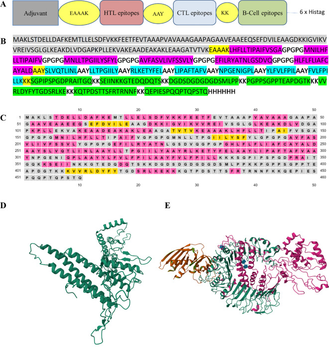 Figure 2