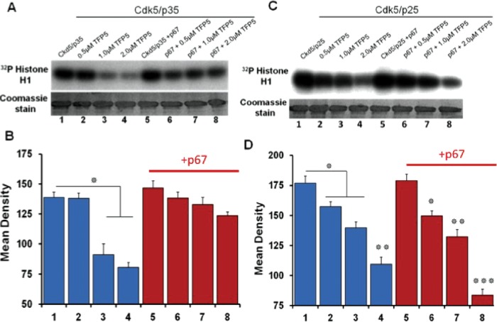 FIGURE 4: