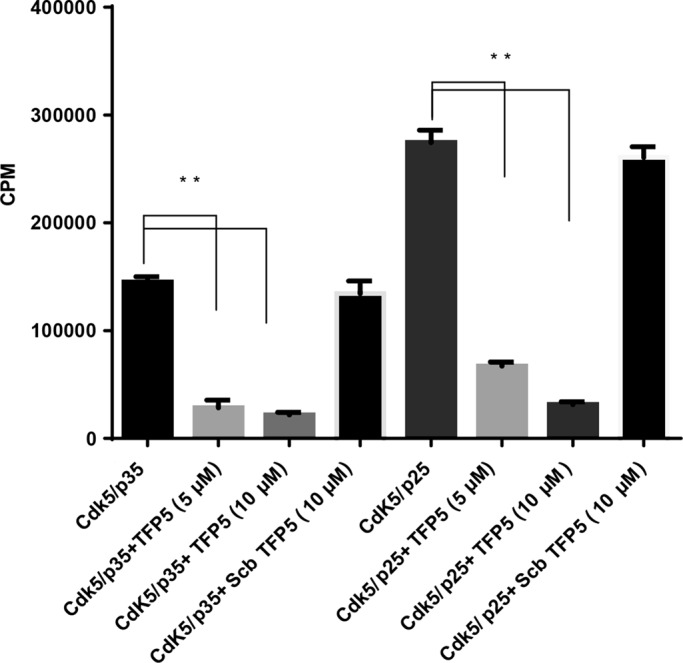 FIGURE 3: