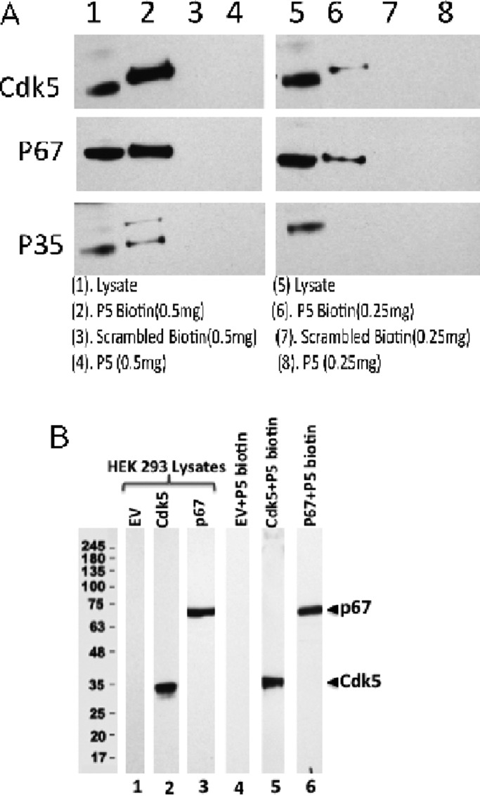 FIGURE 10: