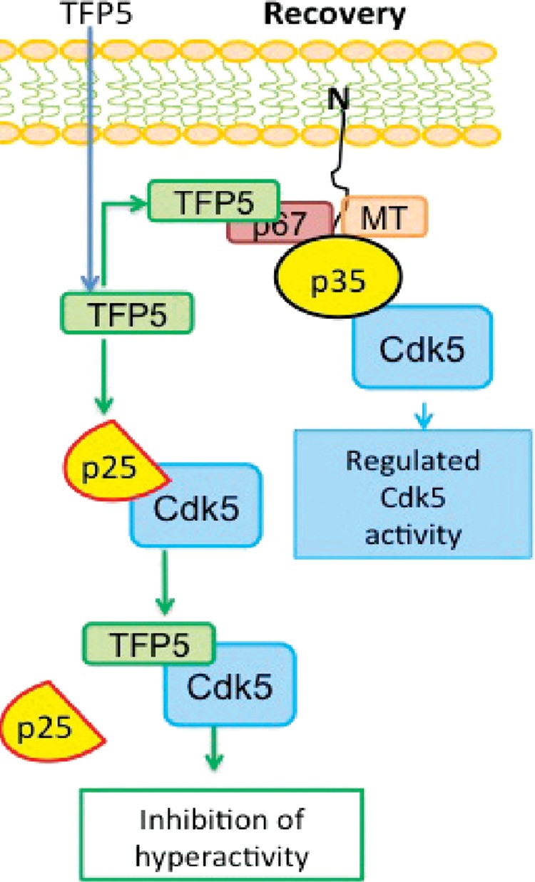 FIGURE 12: