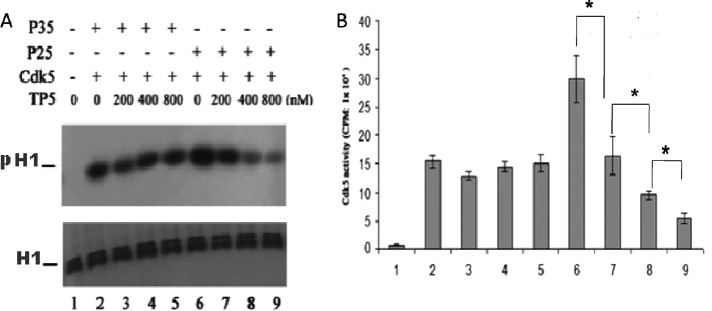 FIGURE 6: