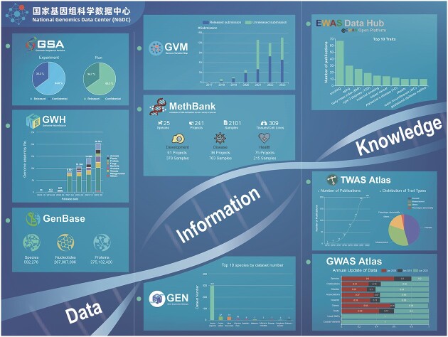 Graphical Abstract