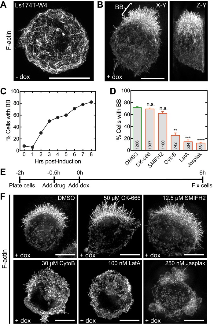 FIGURE 1: