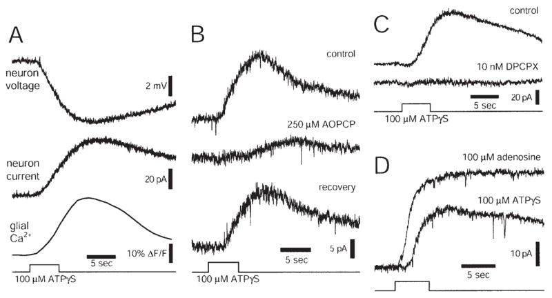 Fig. 4