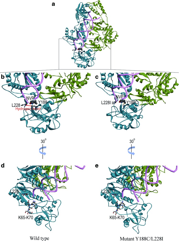 FIG. 2.