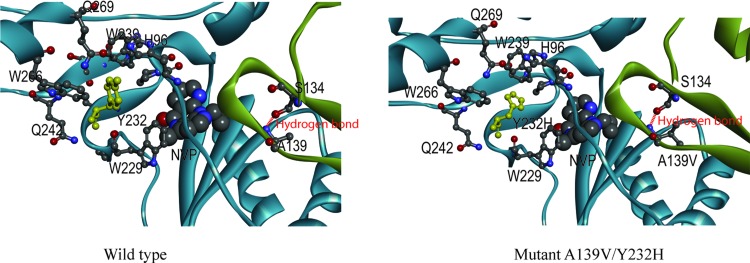 FIG. 4.