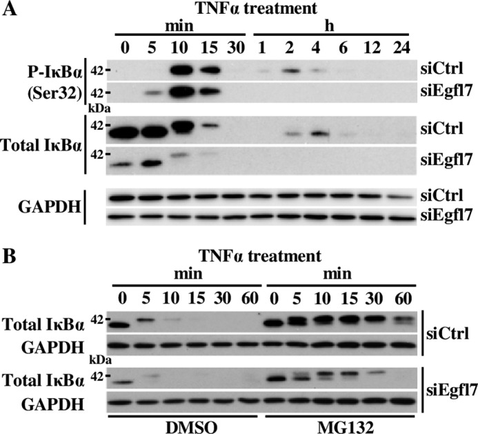 FIGURE 10.