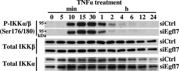 FIGURE 9.