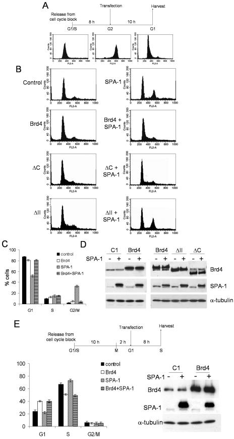 FIG.7.