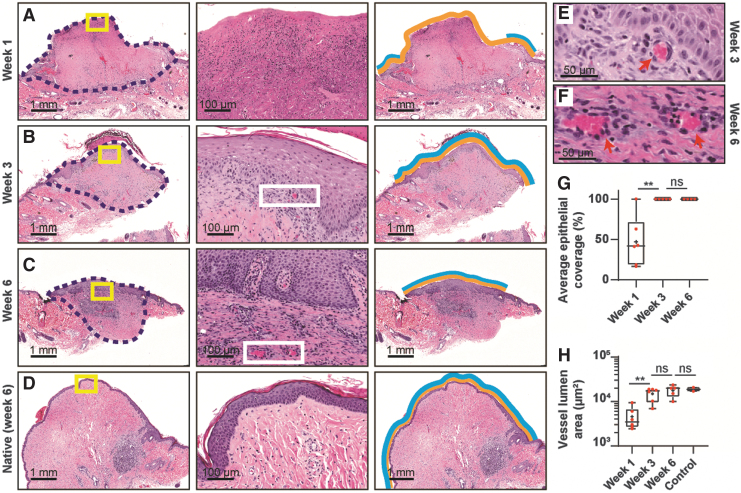 FIG. 7.