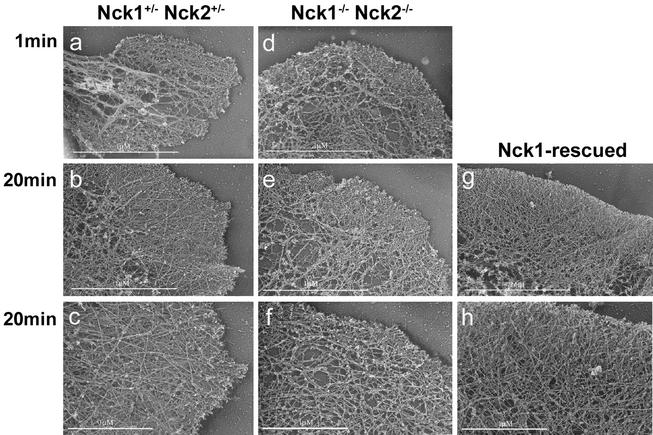 FIG. 9.