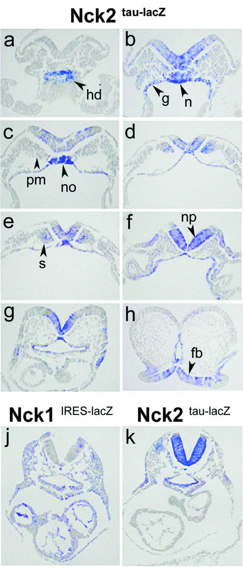 FIG. 5.