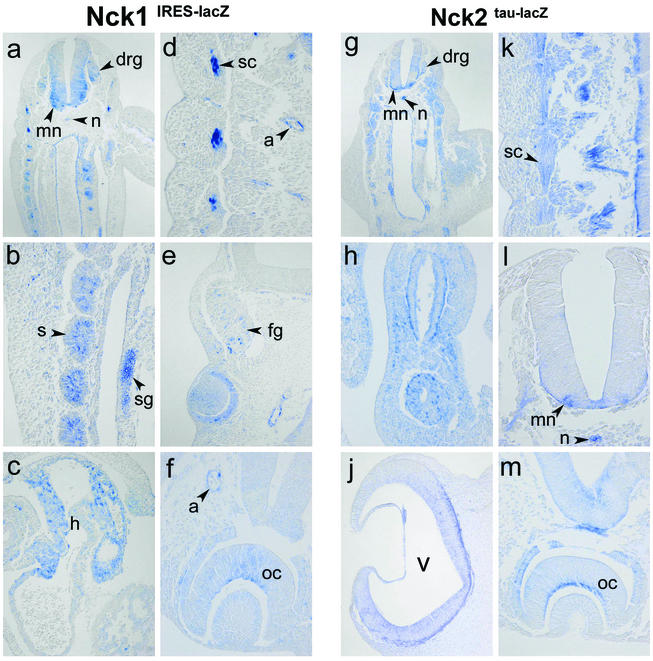 FIG. 6.