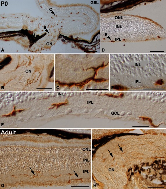 Fig. 9