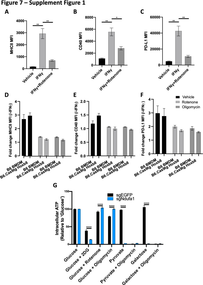 Figure 7—figure supplement 1.