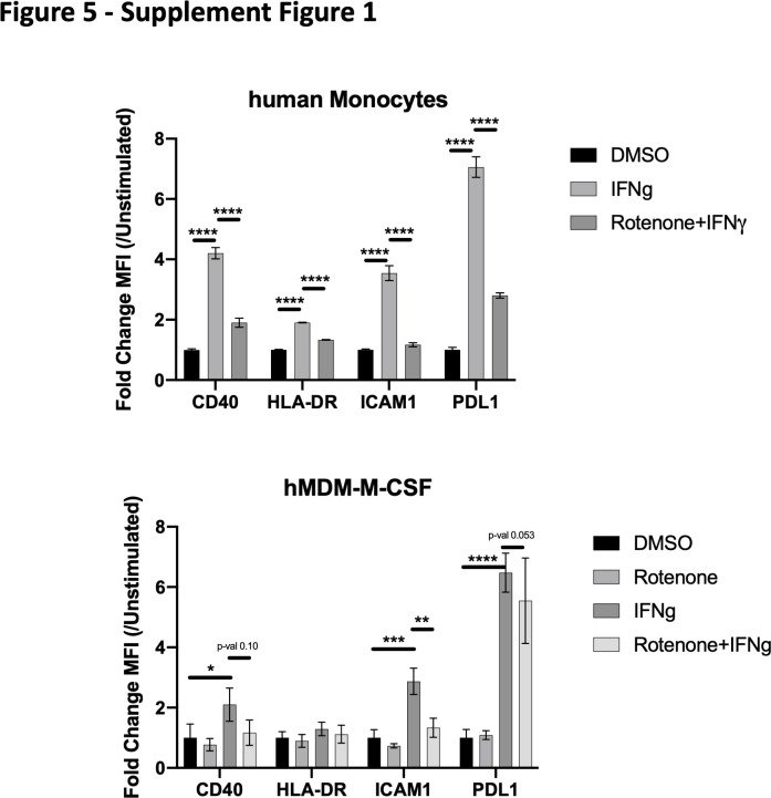 Figure 5—figure supplement 1.