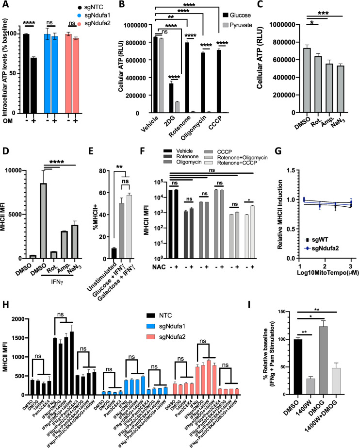 Figure 3—figure supplement 1.