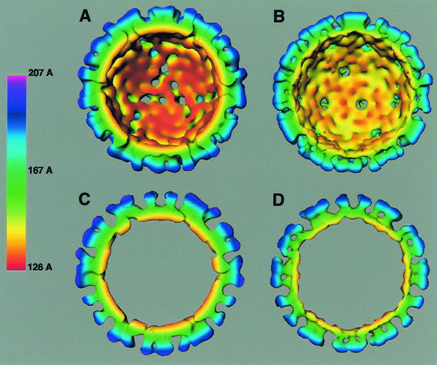 FIG. 4.