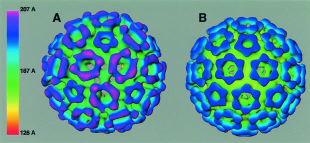 FIG. 3.