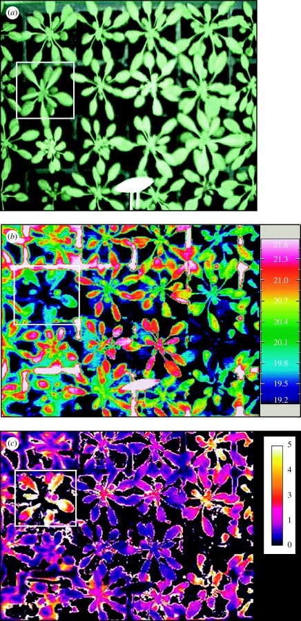 Figure 4