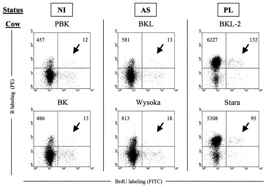 FIG. 3.