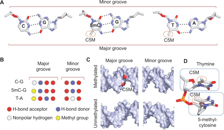 Figure 3: