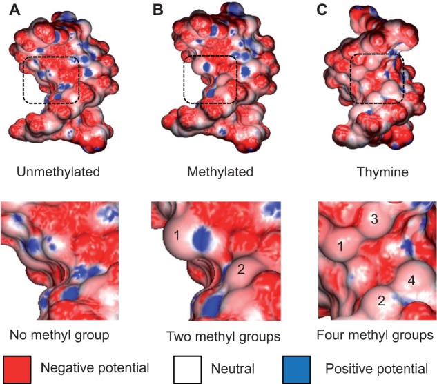 Figure 4: