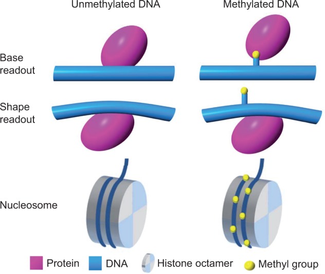 Figure 5: