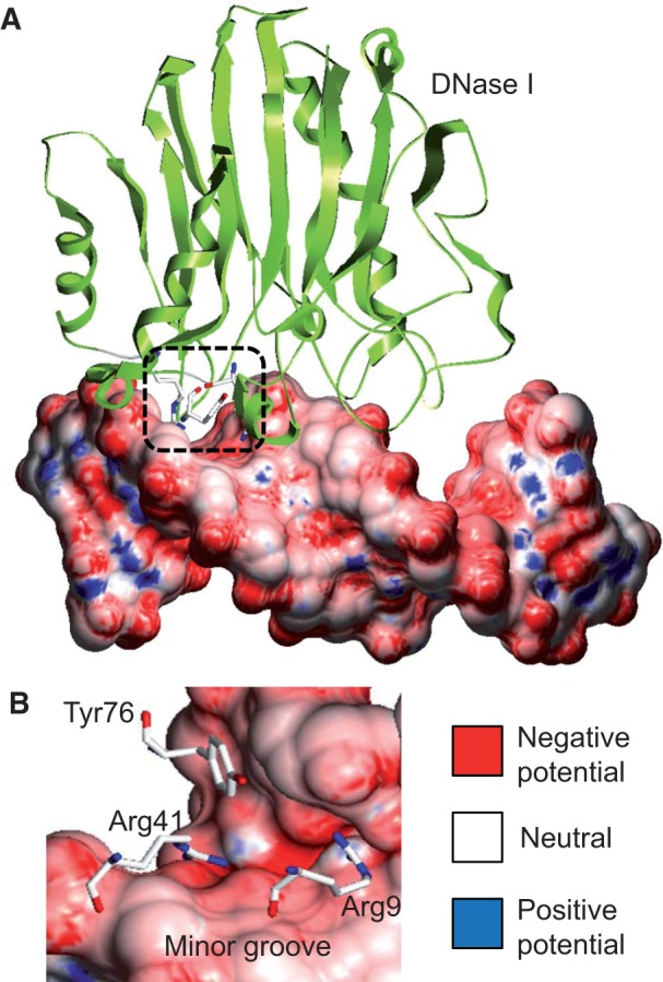 Figure 1: