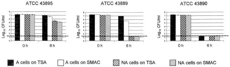 FIG. 1