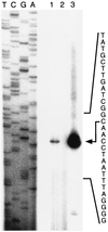 FIG. 5
