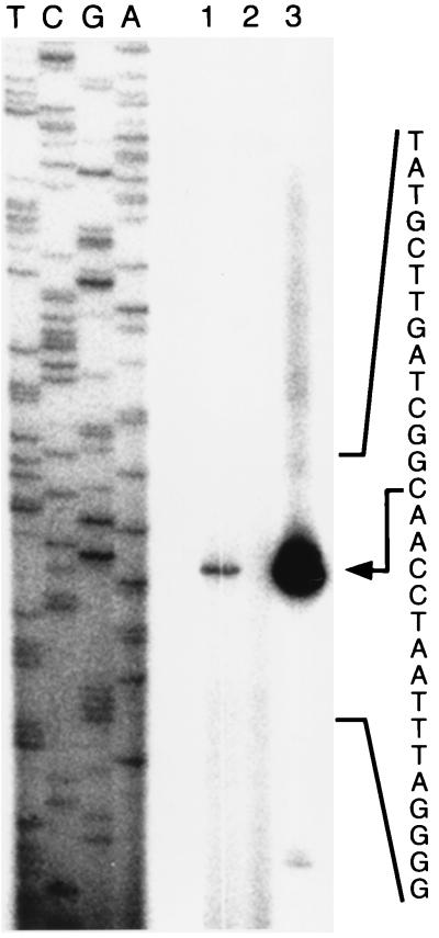 FIG. 5